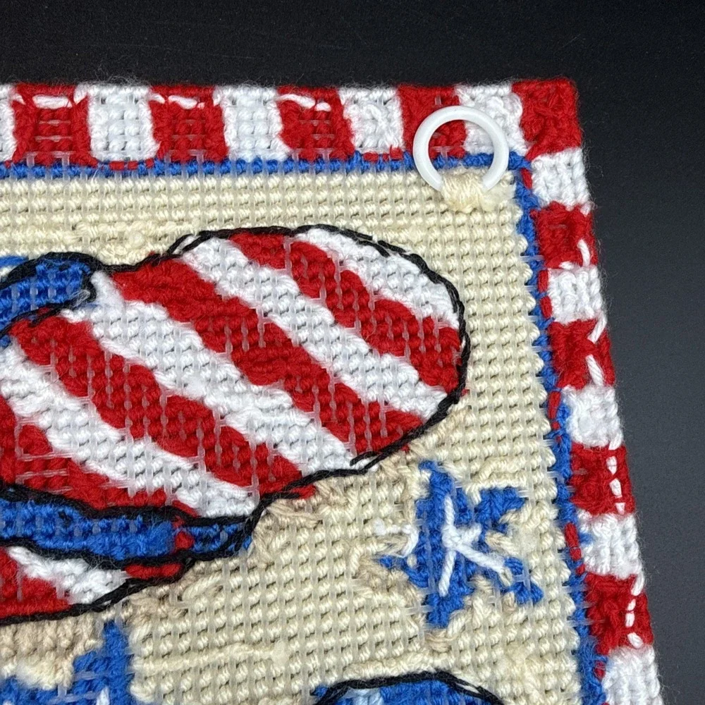 Plastic Canvas July Wall Decor Completed Independence Day 12 X 18